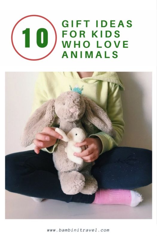 10 Christmas Gift Ideas for Kids Who Love Animals