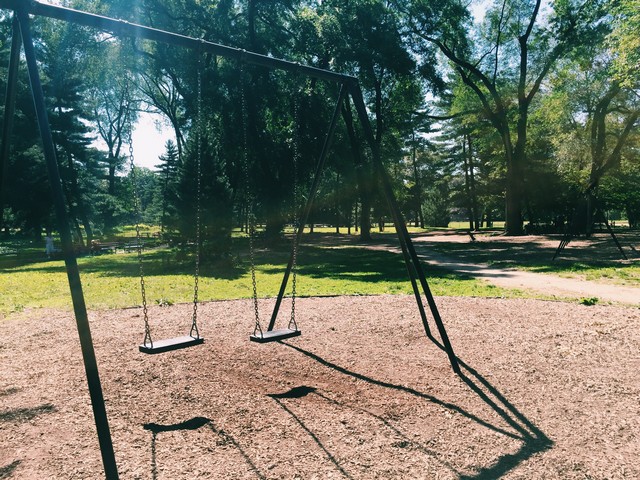 Pinetum Swings Central Park