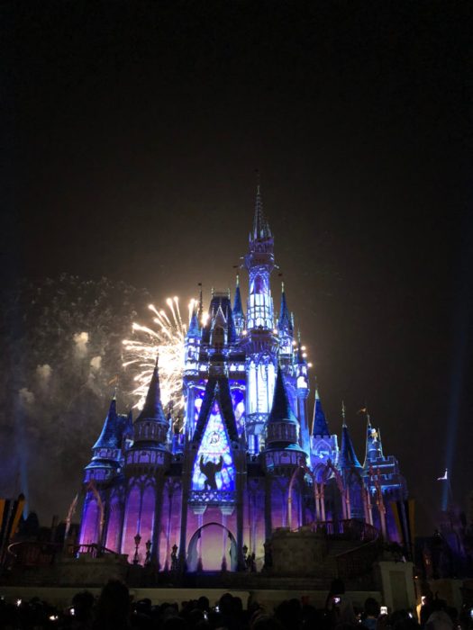 Disney World Magic Hours extra time with kids
