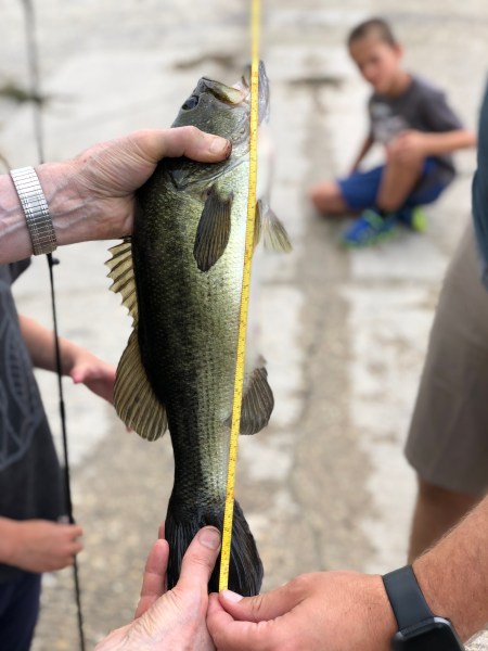 Fishing with Kids