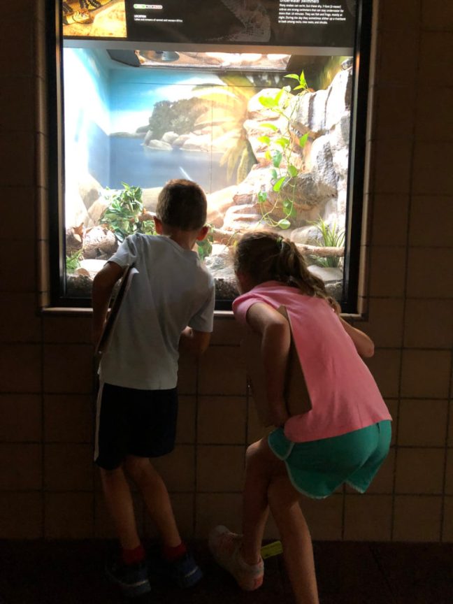 San Diego Zoo and FREE Scavenger Hunt
