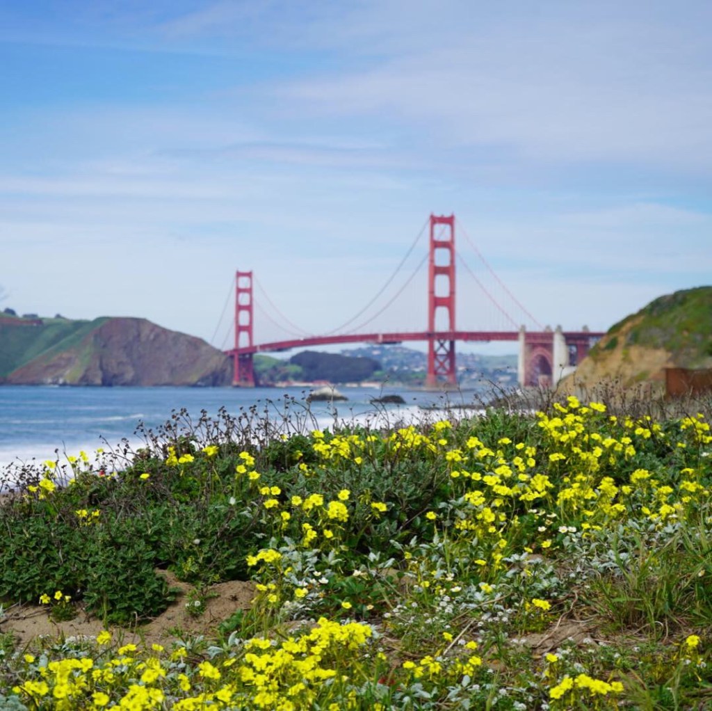 A Weekend in San Francisco with Kids . Bambini Travel