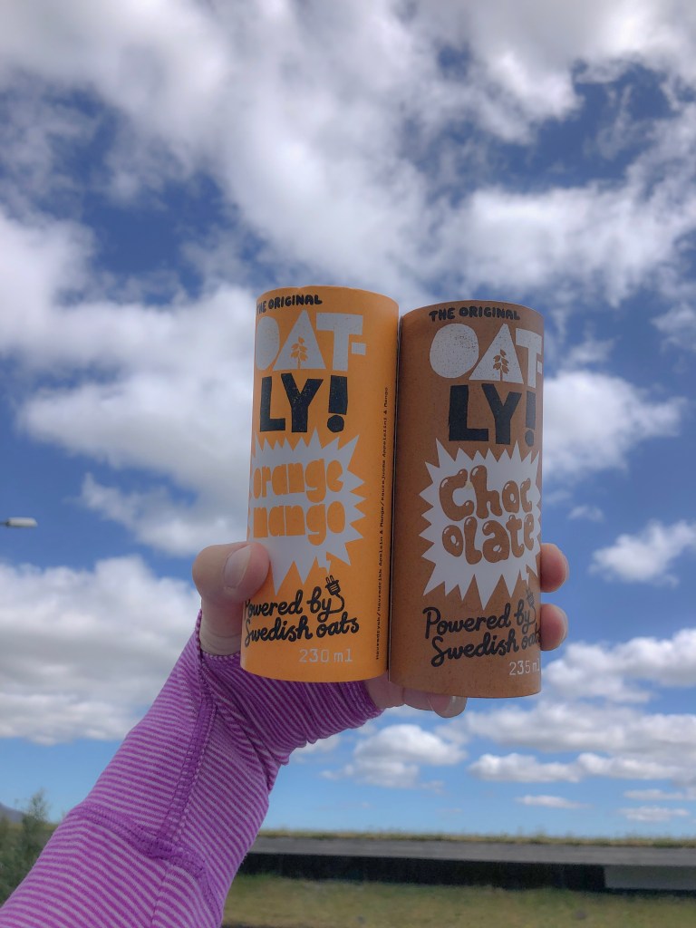 Oat-ly Dairy Free Drinks in Iceland