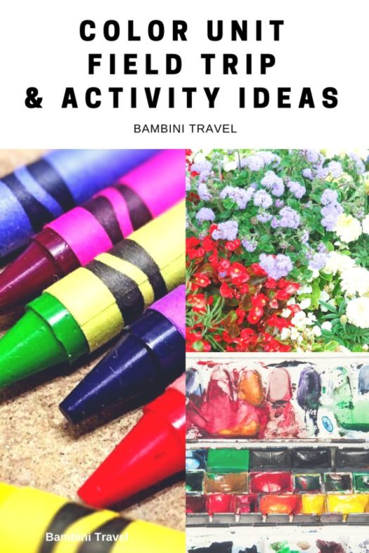 Color Unit Field Trips and Activity Ideas for Toddlers and Preschool