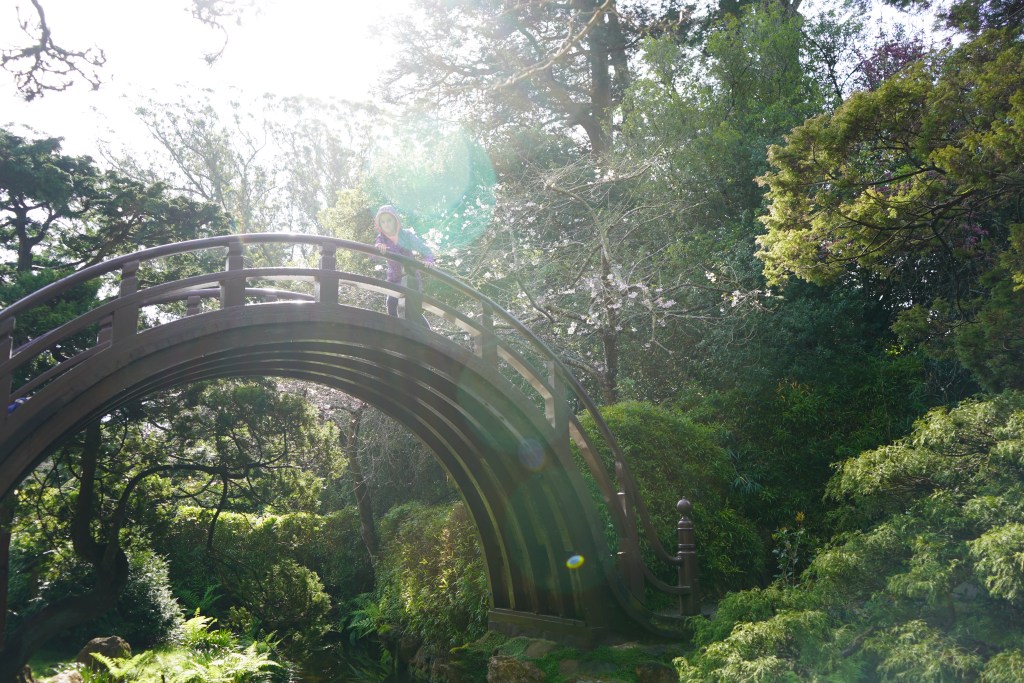 Japanese Tea Garden in Golden Gate Park in San Francisco CA 