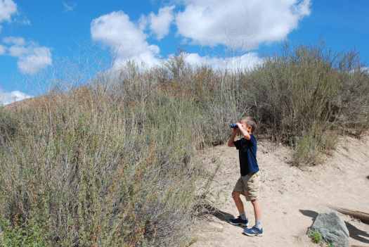 Hiking in Mission Trails Regional Park San Diego with Kids