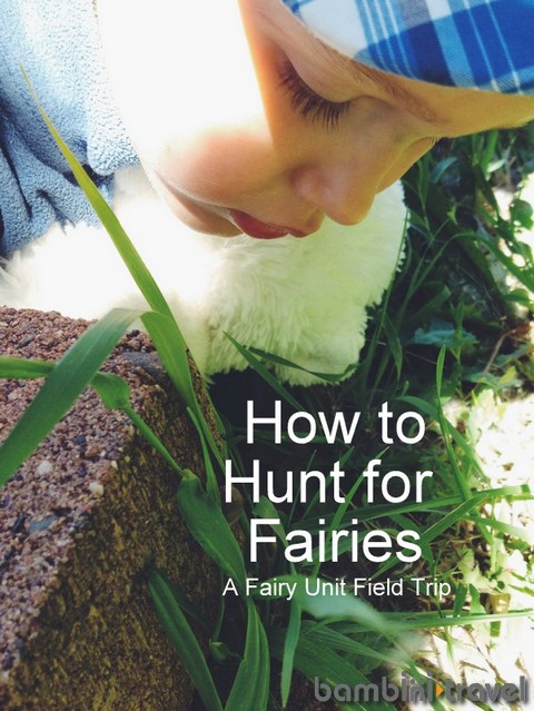 How to Hunt for Fairies