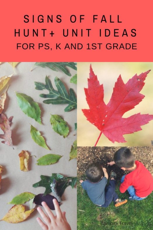 Signs of Fall Unit Field Trip Tips and Activity Ideas