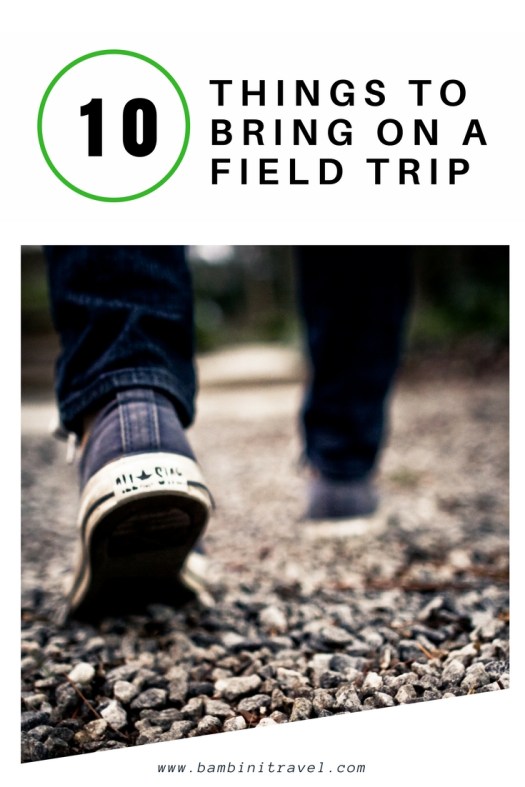 10 Things to Bring on a Field Trip with Toddlers, Preschoolers through Early Elementary School