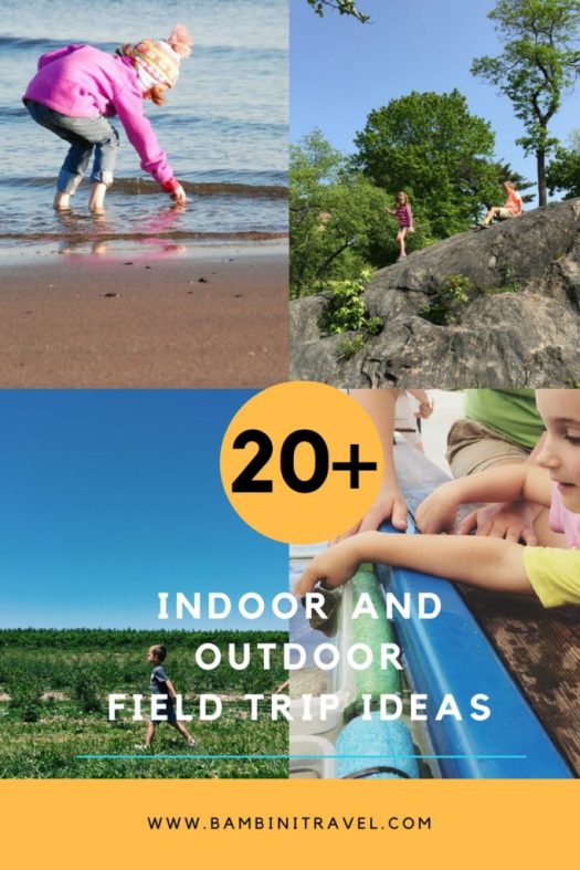 20+ Best Indoor and Outdoor Field Trip Ideas