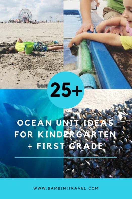 25+ Ocean Unit Ideas for Kindergarten and First Graders