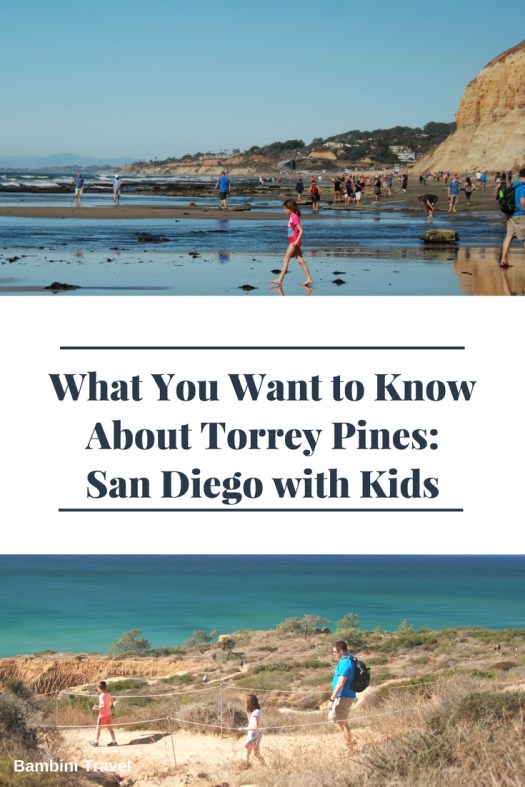 What You Want to Know About Torrey Pines: San Diego with Kids #familyhiking #hikingwithkids #sandiegohikes #sandiegowithkids