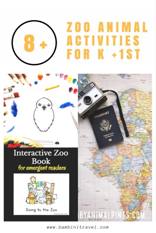 8+ Zoo Animal Learning Activities for Kindergarten and First Grade School Agers
