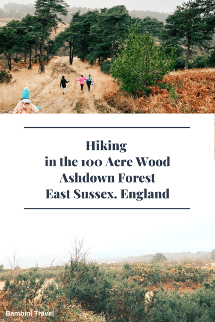 Hiking in the 100 Acre Wood - Ashwood Forest with Kids from Bambini Travel