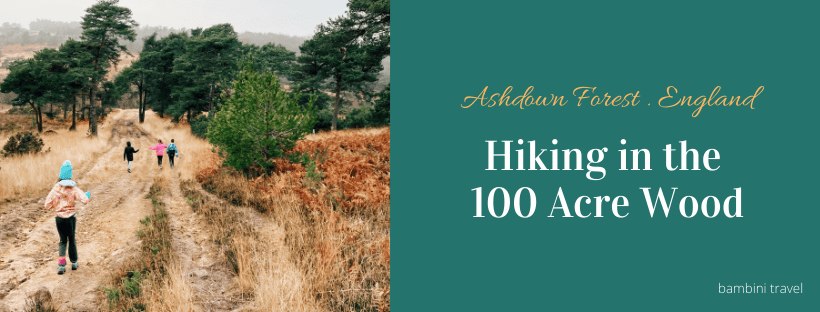 Hiking in the 100 Acre Wood - Ashdown Forest with Kids - Bambini Travel
