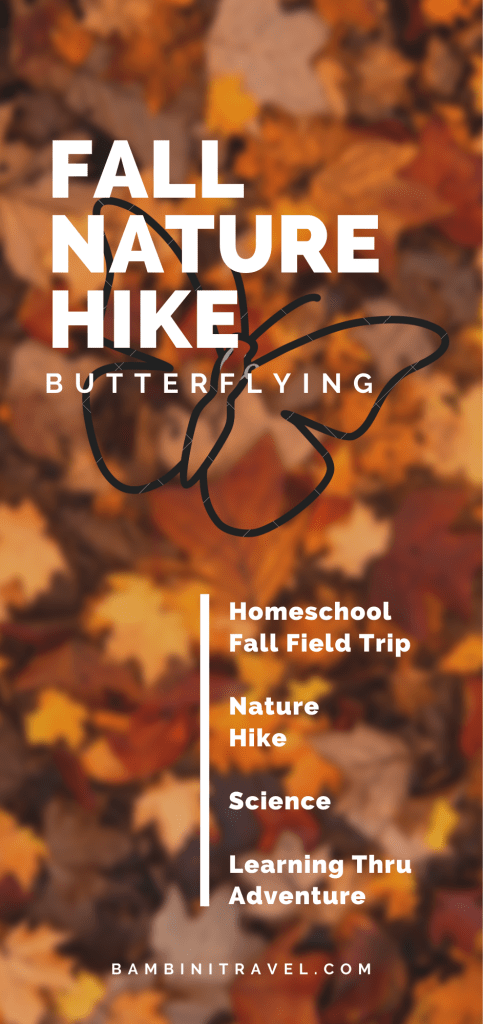 Fall Nature Hike: Butterflying with Kids from Bambini Travel