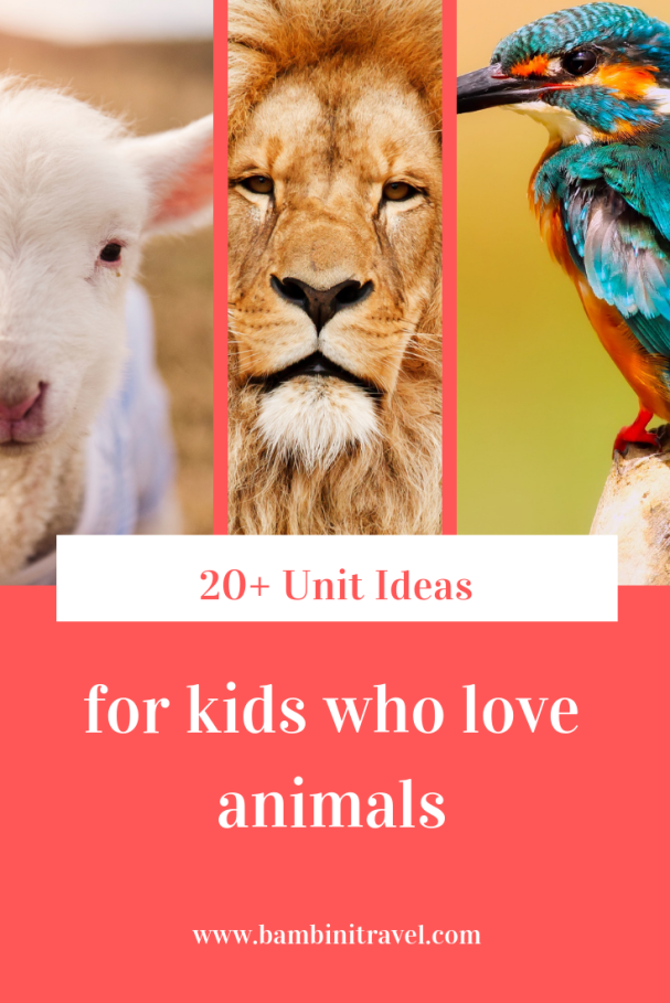 20+ Unit Ideas for Kids Who Love Animals from Bambini Travel