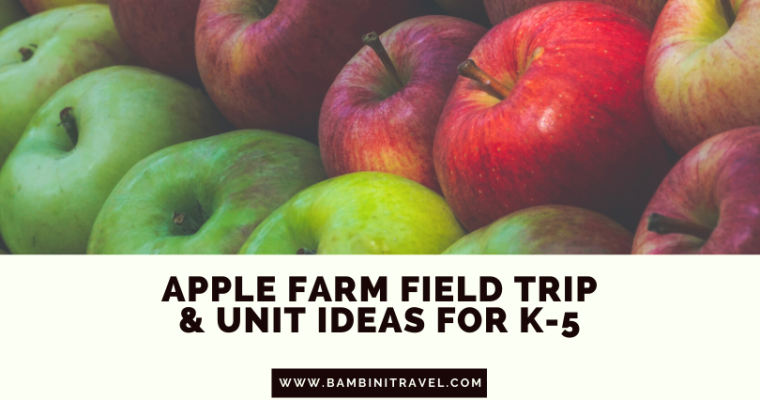 Apple Farm Field Trip and Learning Activities for Elementary Schoolers
