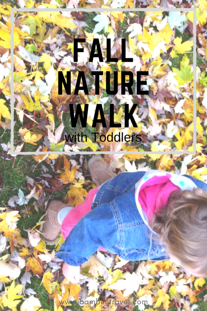 Tips for a Successful Fall Nature Walk with Toddlers and Preschoolers #naturewalk #fall #season #leaves #fallunit