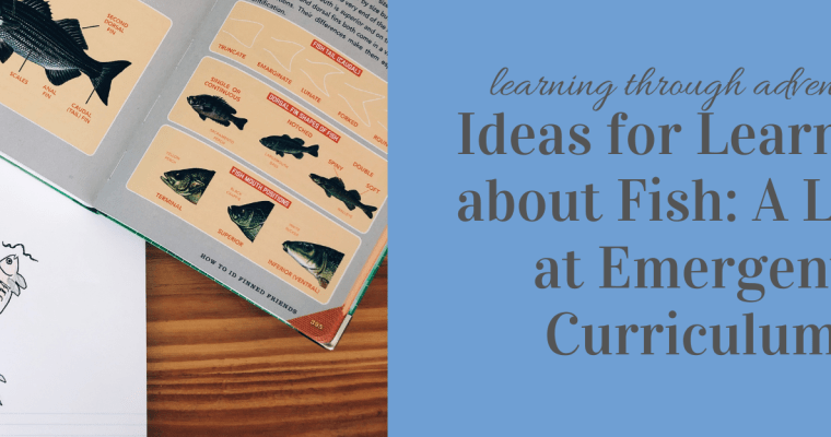 Ideas for Learning about Fish: A Look at Emergent Curriculum