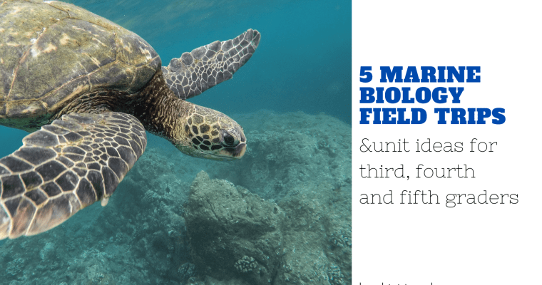 Marine Biology Field Trip & Unit Ideas for Third, Fourth & Fifth Graders