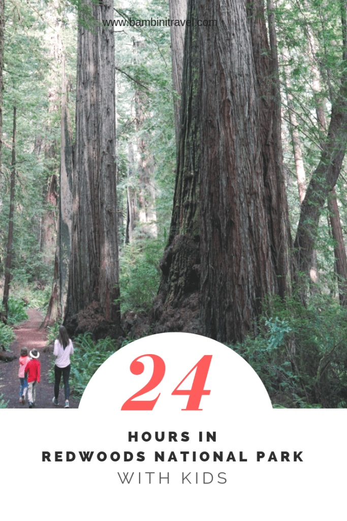 24 Hours in Redwoods National Park. A Visit to the Redwoods National Forest with Kids - Bambini Travel