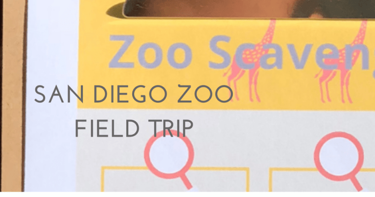 San Diego Zoo Field Trip plus FREE Zoo Scavenger Hunt