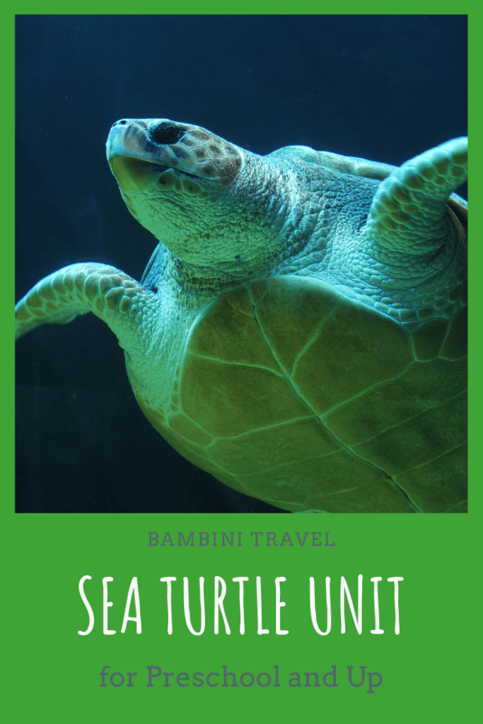 Sea Turtle Unit for Preschool and Up including a Gross Motor Turtle Themed Yoga Routine #unit #projectapproach #seaturtles #preschool #kindergarten