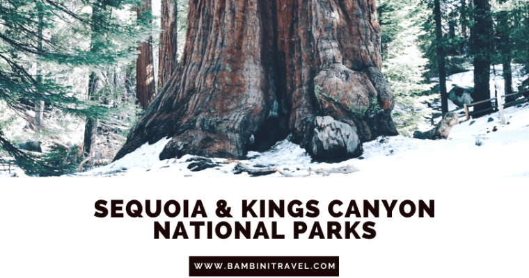 Kings Canyon and Sequoia National Parks