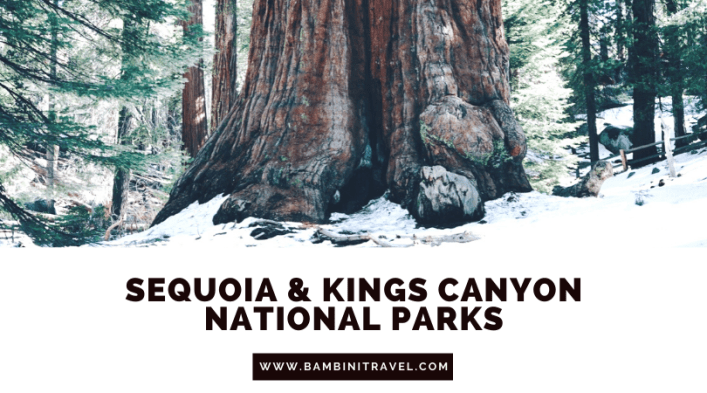 Sequoia and Kings Canyon National Park trip from Bambini Travel