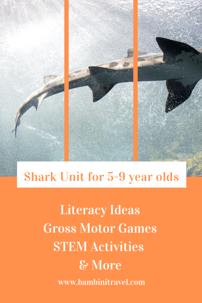 Shark Unit for 5-9 Year Olds perfect for Shark Week or for Shark Fans any time of the year