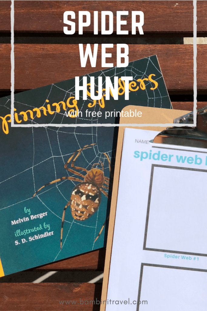 Spider Web Hunt with Free Printable