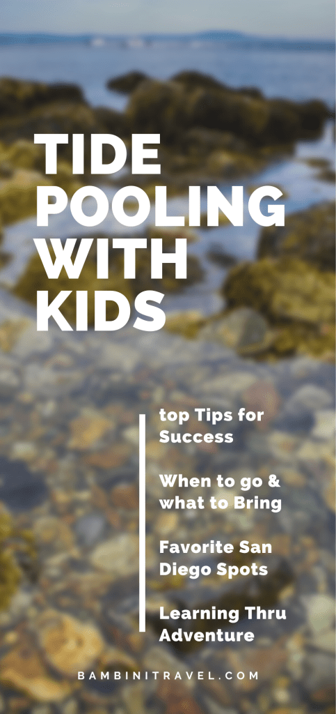 Tidepooling with Kids from Bambini Travel
