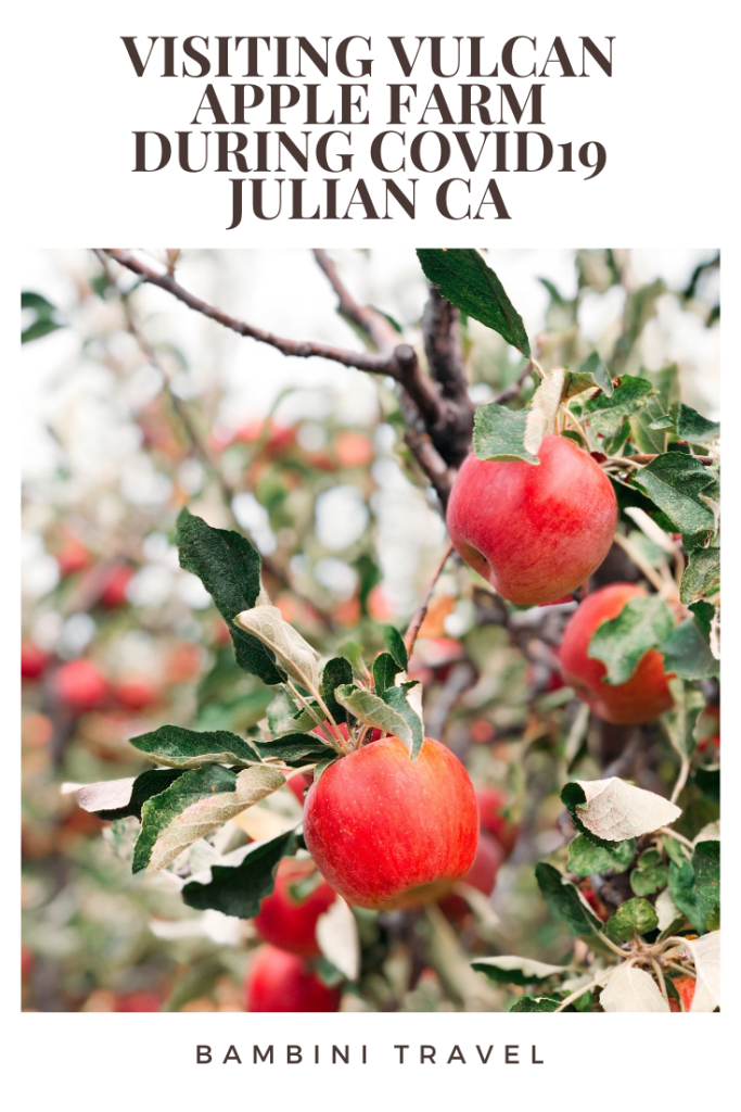 Visiting Vulcan Apple Farm in Julian CA during Covid19 - Bambini Travel